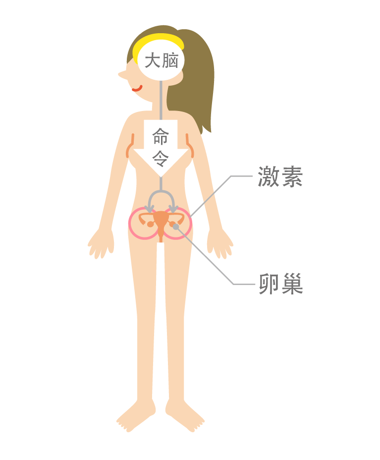 香港宝典免费资料网