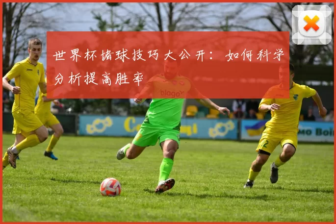 世界杯堵球技巧大公开:如何科学分析提高胜率
