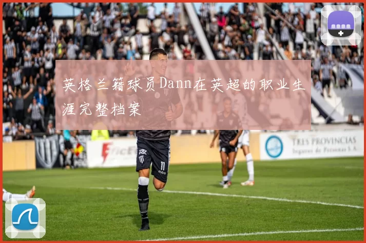 英格兰籍球员Dann在英超的职业生涯完整档案