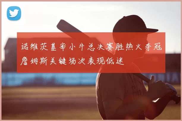 诺维茨基率小牛总决赛胜热火夺冠詹姆斯关键场次表现低迷