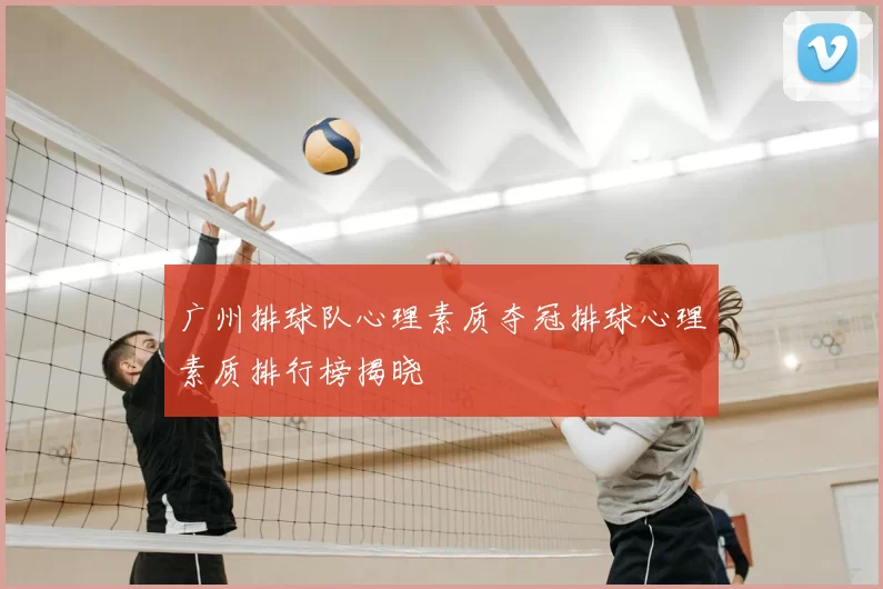 广州排球队心理素质夺冠排球心理素质排行榜揭晓