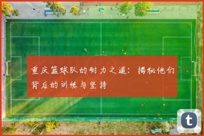 重庆篮球队的耐力之道：揭秘他们背后的训练与坚持