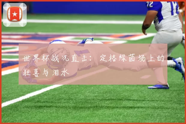 世界杯战况直击：定格绿茵场上的狂喜与泪水