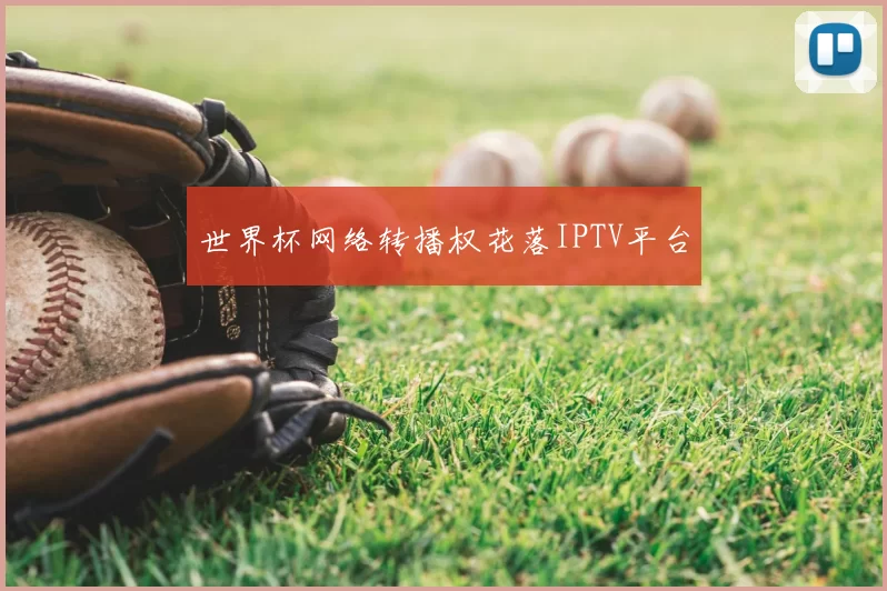 世界杯网络转播权花落IPTV平台