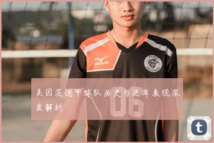 美因茨德甲球队历史与近年表现深度解析