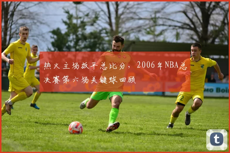 热火主场扳平总比分,2006年NBA总决赛第六场关键球回顾