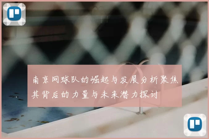 南京网球队的崛起与发展分析聚焦其背后的力量与未来潜力探讨
