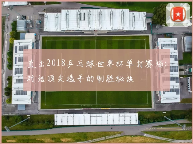 直击2018乒乓球世界杯单打赛场:对话顶尖选手的制胜秘诀