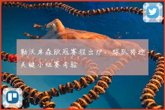 勒沃库森欧冠赛程出炉,球队将迎关键小组赛考验