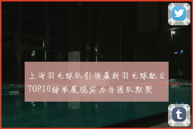 上海羽毛球队引领最新羽毛球配合TOP10榜单展现实力与团队默契