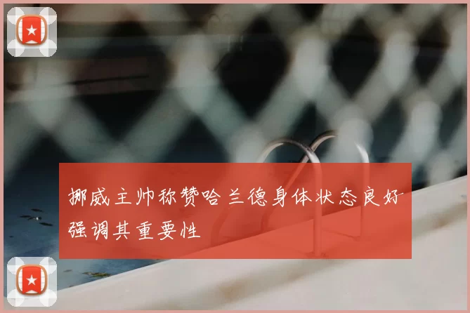挪威主帅称赞哈兰德身体状态良好强调其重要性