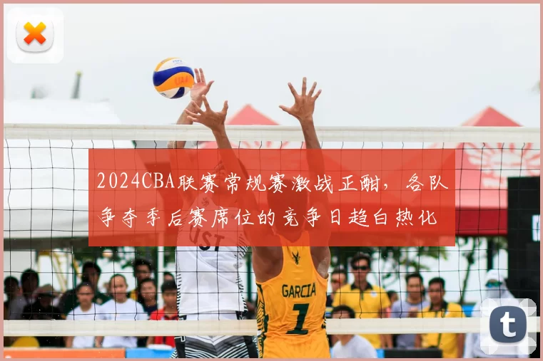 2024CBA联赛常规赛激战正酣,各队争夺季后赛席位的竞争日趋白热化