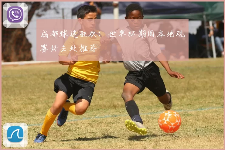 成都球迷狂欢：世界杯期间本地观赛好去处推荐