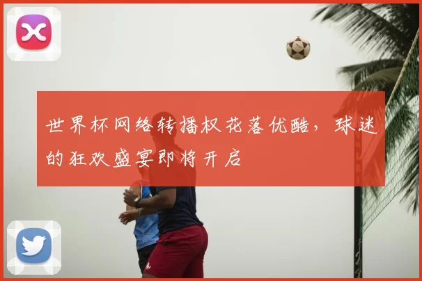 世界杯网络转播权花落优酷,球迷的狂欢盛宴即将开启