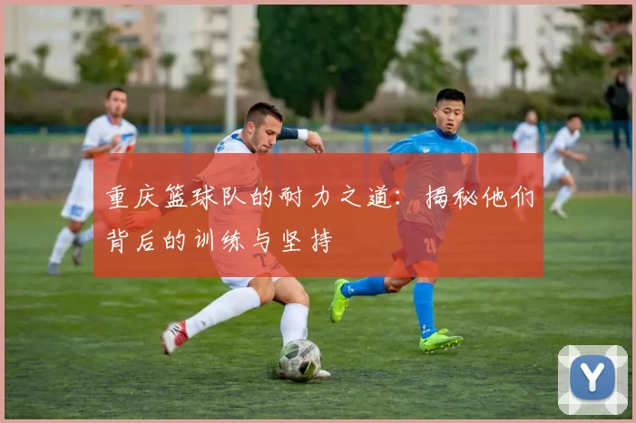 重庆篮球队的耐力之道:揭秘他们背后的训练与坚持