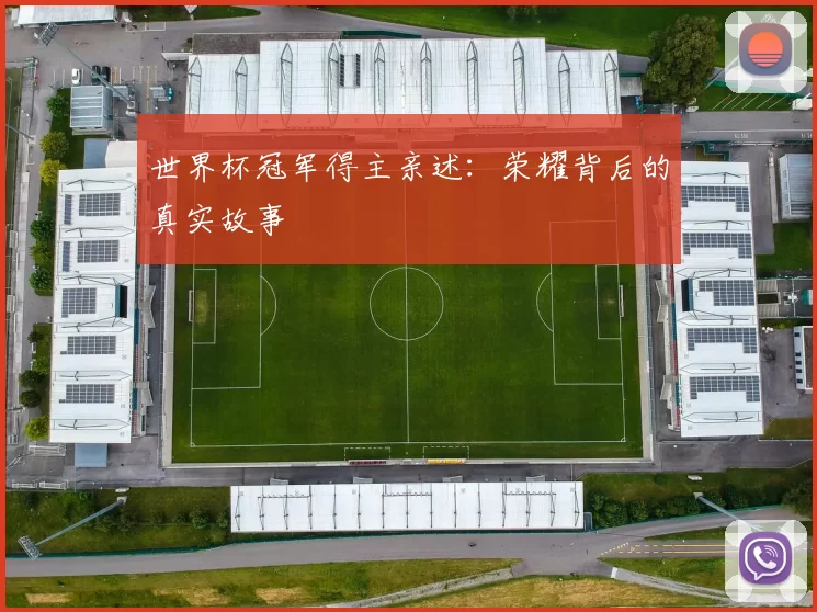 世界杯冠军得主亲述:荣耀背后的真实故事
