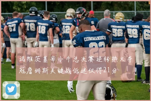 诺维茨基率小牛总决赛逆转热火夺冠詹姆斯关键战低迷仅得21分