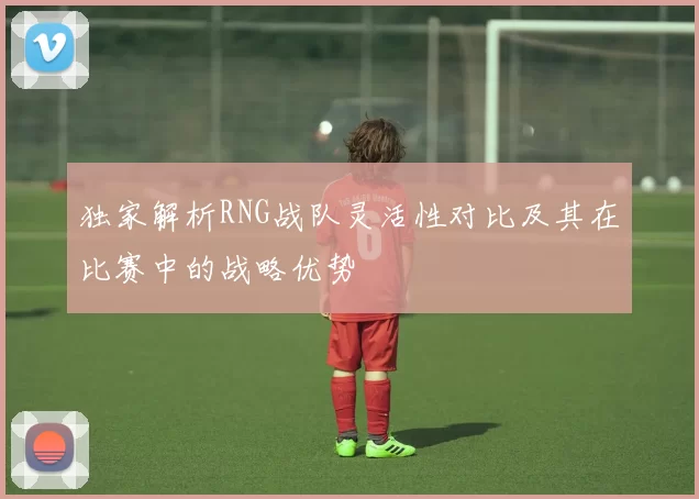 独家解析RNG战队灵活性对比及其在比赛中的战略优势