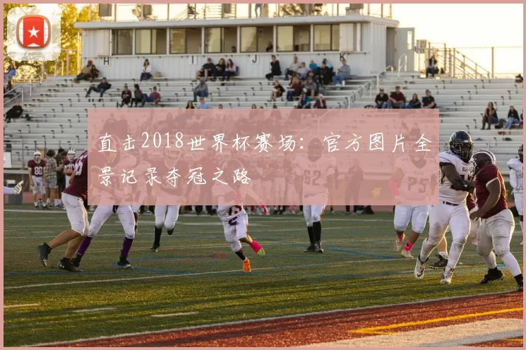 直击2018世界杯赛场:官方图片全景记录夺冠之路