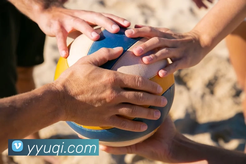 App Interface Preview